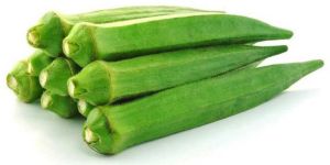 Fresh Okra