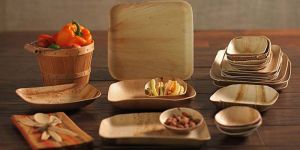 Areca Leaf Plates - Leaf Plates - Areca Plates - Natural plates