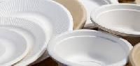 Disposable Dinnerware