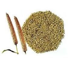 Millet Seeds