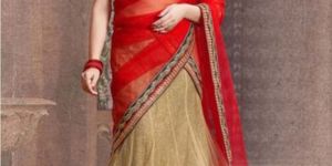 Designer Lehenga Choli