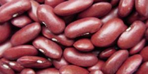 Red Kidney Beans