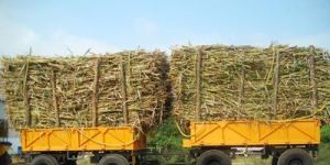 Four Wheeled Single Tipping Trailer