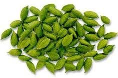 Cardamom