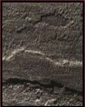 Sagar Black Sandstone