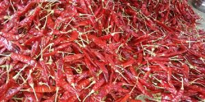 Red Chilly