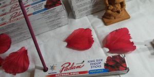 Padam Dhoop Sticks