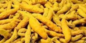 Turmeric Finger
