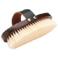 Horse Brushes
