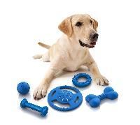 Pet Toys