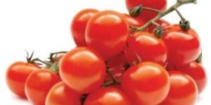 Fresh Cherry Tomato
