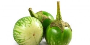 Fresh Thai Eggplant