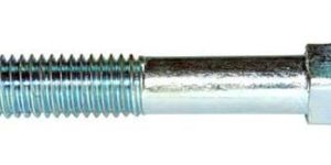 Carriage Bolts