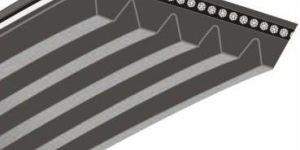 Poly V Belt