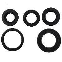 Oil Seal Kits