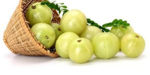 Fresh Amla