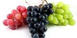Fresh Grapes