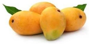 Fresh Mango