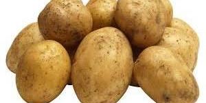 Fresh Potato