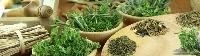 Herbal Remedies