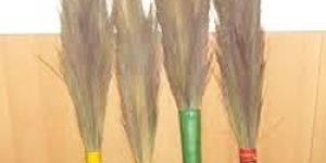Coconut Broom