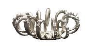 Rings Special Castings