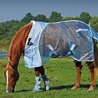 Fly Sheet