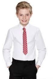 Boys School Shirts