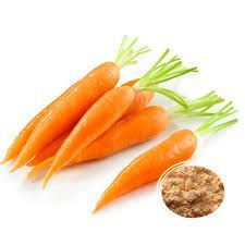 Dehydrated Carrot Powder