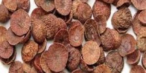 Dry Areca Nut