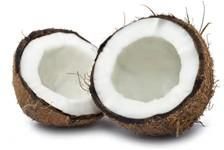 Fresh Coconut