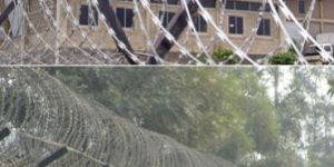 Concertina Wire