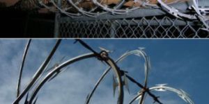 Razor Wire