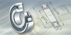 Barrel Roller Bearing