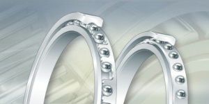 Thin Section Bearing