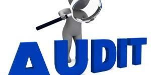 Audit Services