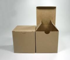 Kraft Carton Box