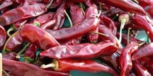 Dried Red Chillies