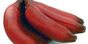 Red Banana