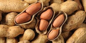 Shelled Groundnuts