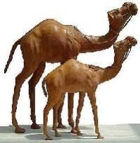 Leather Animal Handicrafts