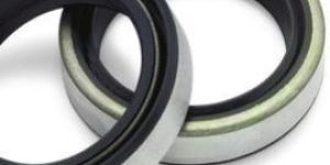 Metallic Oil Seals