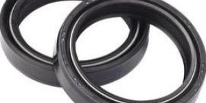Oil Seals