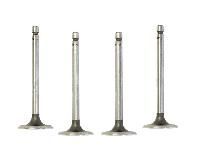 Diesel Engine Valves