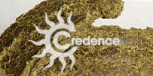 Cotton Seed Oil Cake