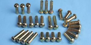 Cold Forged Rivets