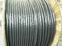 Armored Cables