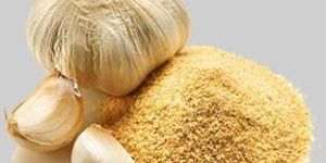 Garlic Powder- Allium Sativum Lasuna Lehsun