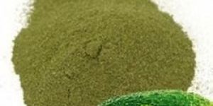 Karela Powder- Momordica Charantia Bittergourd