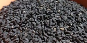 Nigella Seeds